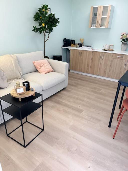 Wellness Studio Tiel Met Sauna En Jacuzzi Eksteriør billede